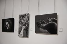 Exposición Viaje al monocromo - Asociación Fotográfica Manzanares