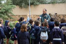 Día del Árbol 2026