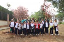 Día del Árbol 2026