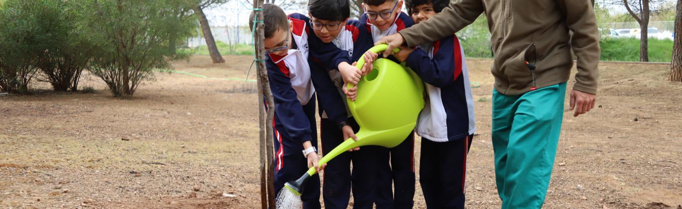 Día del Árbol 2026