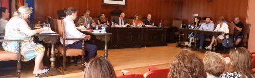 Pleno de julio
