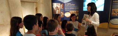 Actividades Día de los Museos 2019