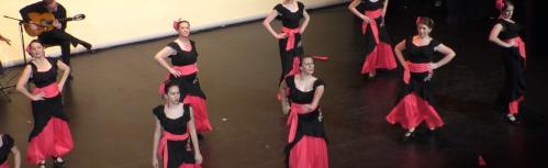 Festival de danza