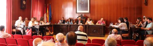Pleno junio 2019
