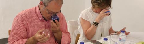 VI Concurso a la calidad del aceite de oliva virgen extra