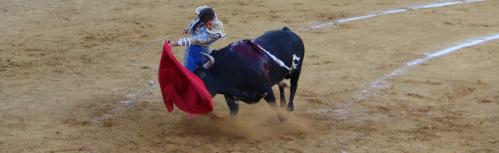 Gran corrida de toros en Manzanares