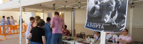 Mercadillo solidario en beneficio de Carea