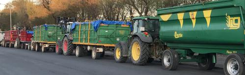 Fila de tractores a la espera de descargar la uva