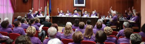 V Pleno Ciudadano