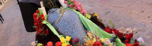 La tristeza más alegre pone fin al Carnaval 2020
