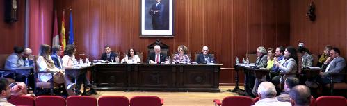 Pleno febrero 2020