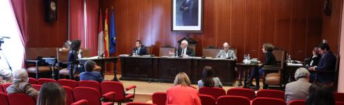 Pleno abril 2020