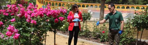 Isabel Díaz-Benito con Manuel Muñoz en la rosaleda del parque