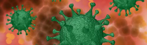 Imagen del coronavirus causante de la COVID-19