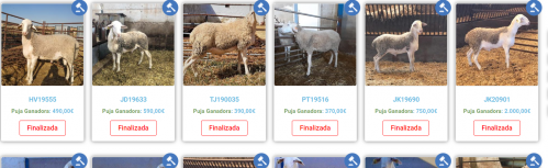 Celebrada la subasta de AGRAMA de manera vitural