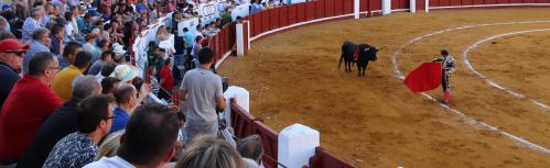 Toros en Manzanares