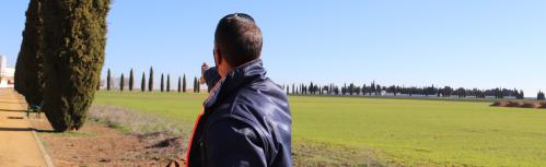 Replantación de cipreses para regenerar las zonas verdes