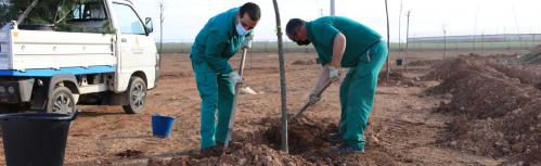 Recuperación de una zona verde en el polígono industrial