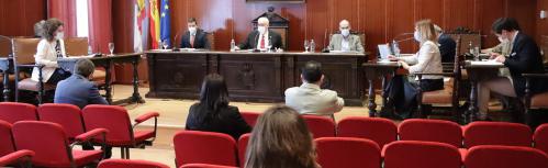 Pleno marzo 2021