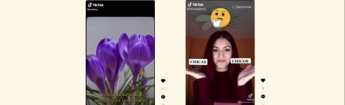 Fallo I Concurso Igualdad TikTok