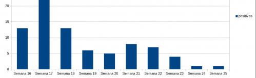 Evolución de los contagios en Manzanares en las diez últimas semanas