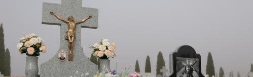 Cementerio municipal 