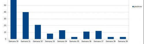 Evolución de casos en Manzanares en los últimos dos meses