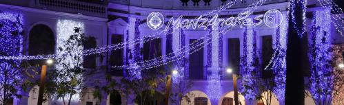 La sesión se celebra a las siete de la tarde y se emite por Manzanares10TV