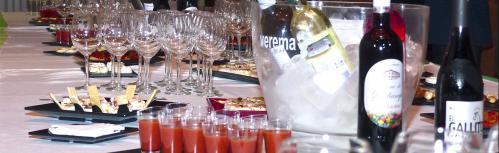Tapas y vinos de Manzanares 