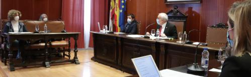 Pleno del 31 de enero de 2022
