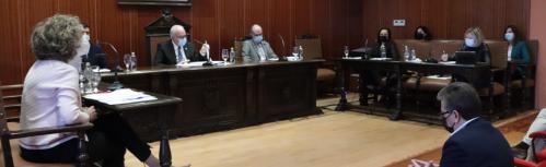 Vista del salón de plenos en la sesión de marzo
