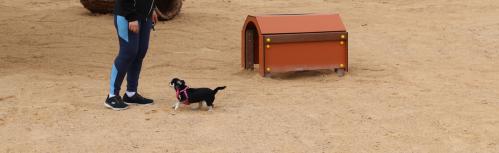 Parque canino de la calle Clara Campoamor