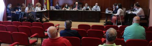 Pleno junio 2022