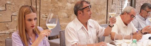 Reunión del jurado del 50º concurso regional de calidad de vinos (Fercam 2022)