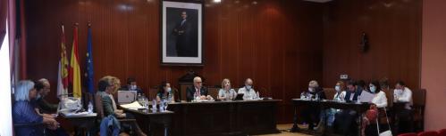 Imagen de archivo pleno junio 22