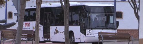 Bus escolar urbano
