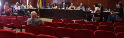 Pleno (julio 2022)