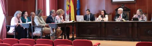 Momento del pleno de octubre