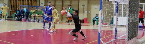 Quesos El Hidalgo Manzanares FS-Barça