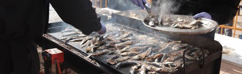 Sardinada (Carnaval 2023) 