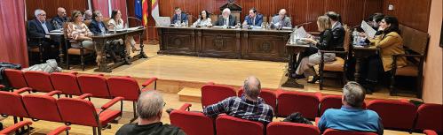 Pleno enero 2024
