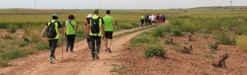 Travesía Don Quijote de La Mancha 2022
