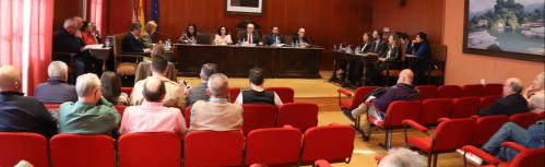 Vista del salón de plenos en la sesión de marzo