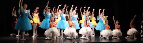 Festival de danza clásica del pasado curso