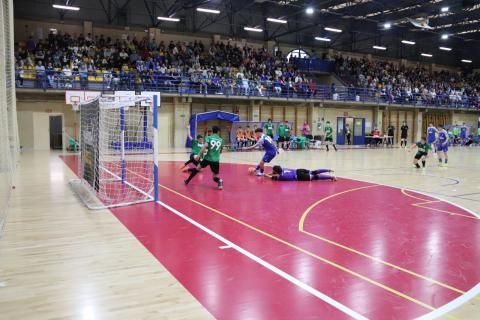 Talleres Arroyo Manzanares FS-Sierra de San Vicente FS