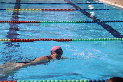 Torneo de natación 2024