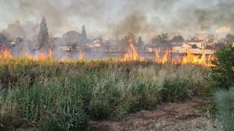Las hierbas secas propagaron rápidamente el fuego