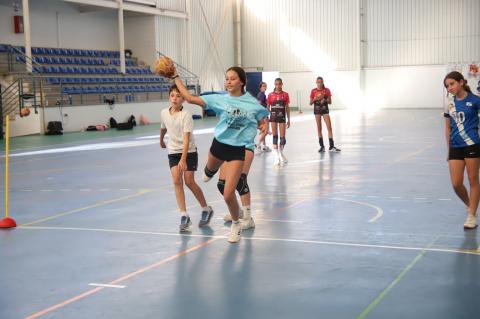 VI Handball Academy