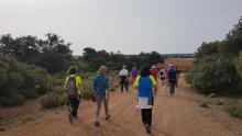 V travesía 'Don Quijote de la Mancha' (Club de senderismo La Mesnera)