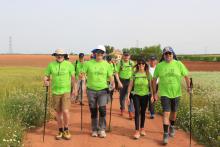 V travesía 'Don Quijote de la Mancha' (Club de senderismo La Mesnera)